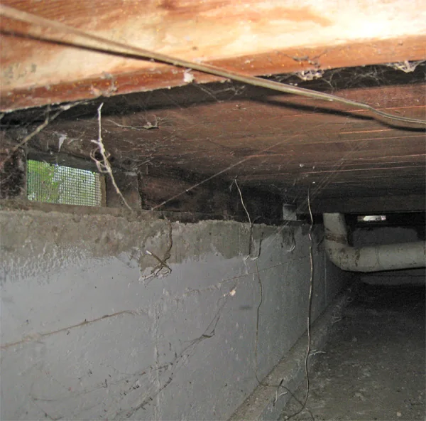 Crawlspace Water Removal in a Raleigh home