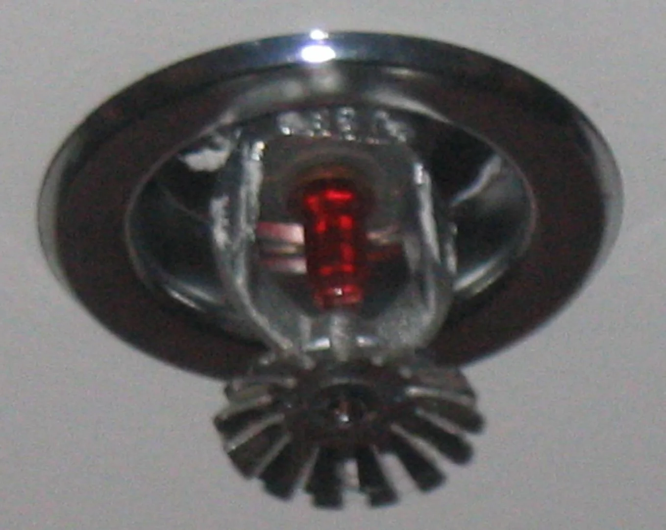 Fire Sprinkler Discharge in a Raleigh home