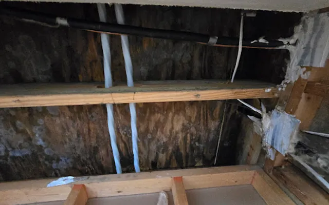 Roof Leak Water Damage in Raleigh, NC
