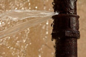 Top Signs You Need Professional Water Leak Detection Services