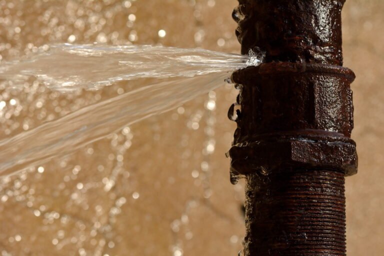 Top Signs You Need Professional Water Leak Detection Services