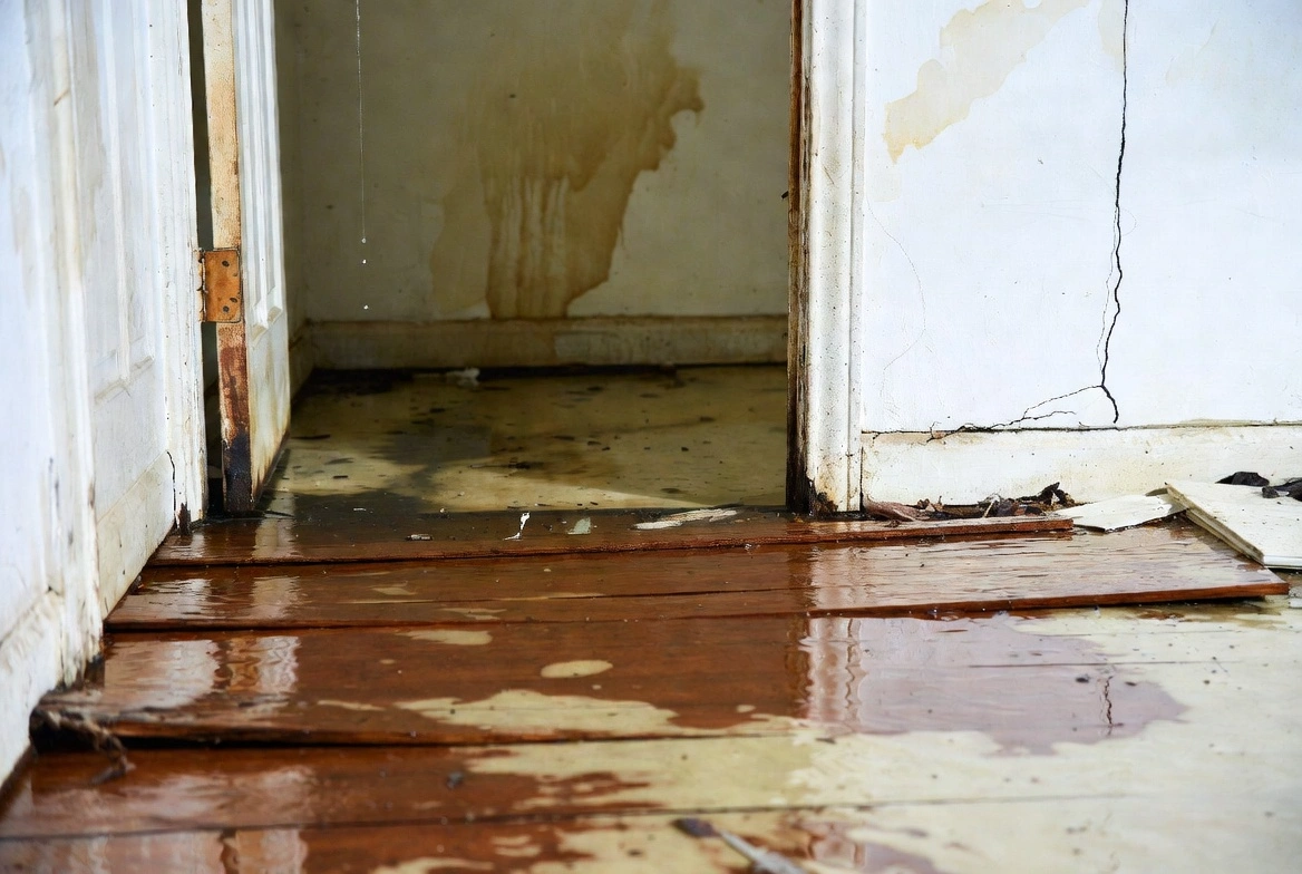 Water Restoration Near Me